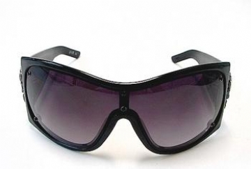 ED HARDY EHS 050 in color BLACK