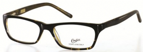 GANT A052 in color D36